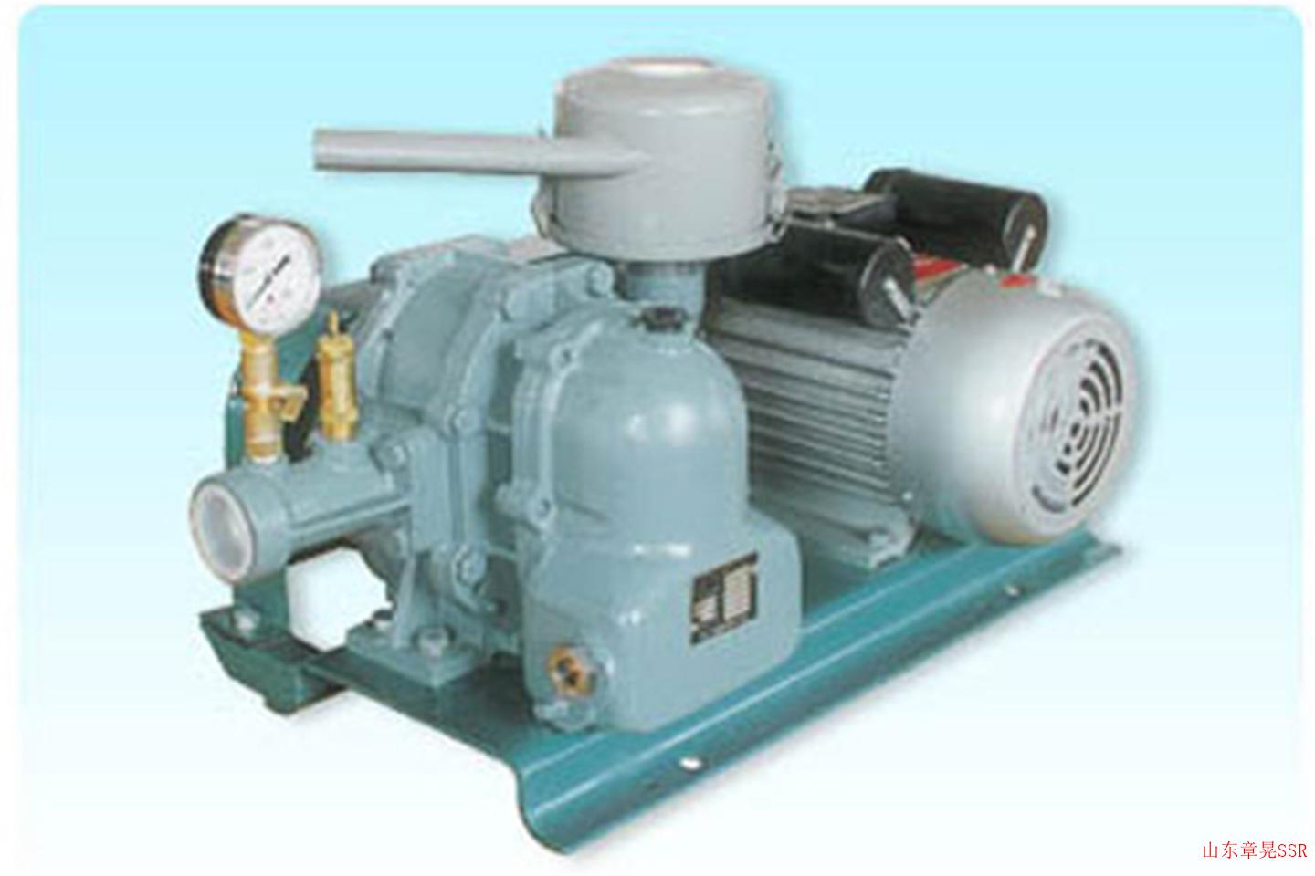 SSR-T Series Blower