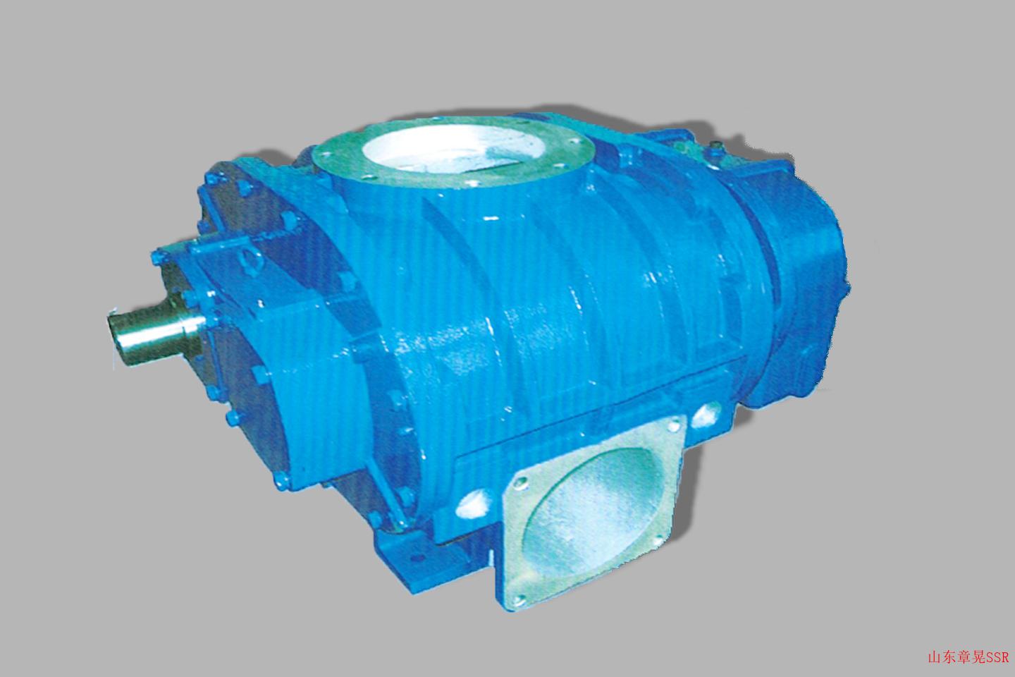 SSR 250VH Vacuum Pump